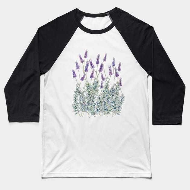 Lavender, Illustration Baseball T-Shirt by JessicaRose